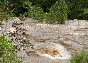 Man found after drowning in Cheat River